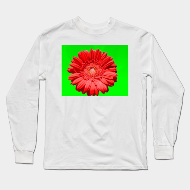 Red gerbera on green Long Sleeve T-Shirt by IrinaAfonskaya